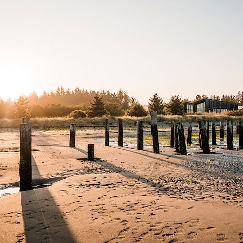 A serene beach scene with wooden posts leading into the distance, surrounded by sand and trees. The sun is low on the horizon.