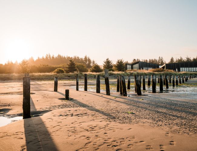 A serene beach scene with wooden posts leading into the distance, surrounded by sand and trees. The sun is low on the horizon.