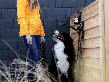 A person in a yellow jacket stands beside a large dog near an outdoor shower, with a dark wall in the background.