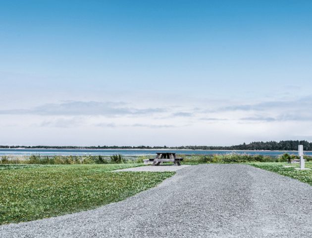 A gravel path leads to a picnic table by a lake, surrounded by grass and trees under a clear blue sky.