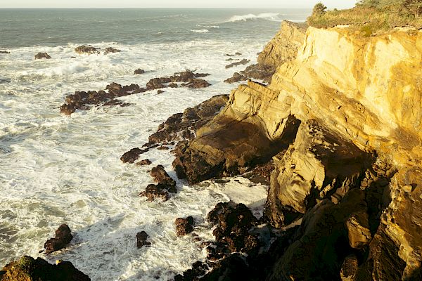 A rocky coastline with waves crashing against cliffs under a clear sky, lined with sparse trees and vegetation, captures a serene scene.