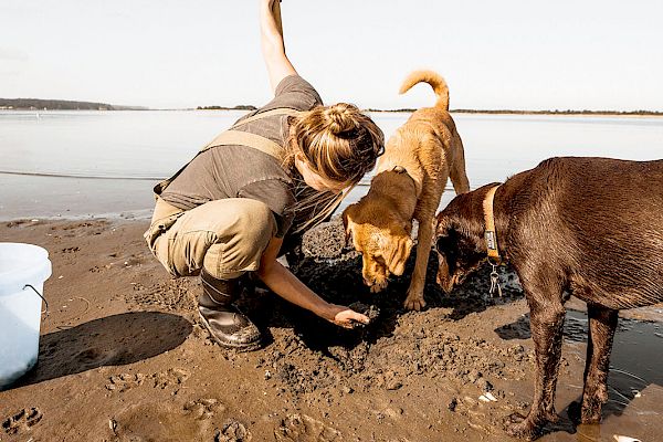 A person is playing with two dogs on a sandy beach near the water.