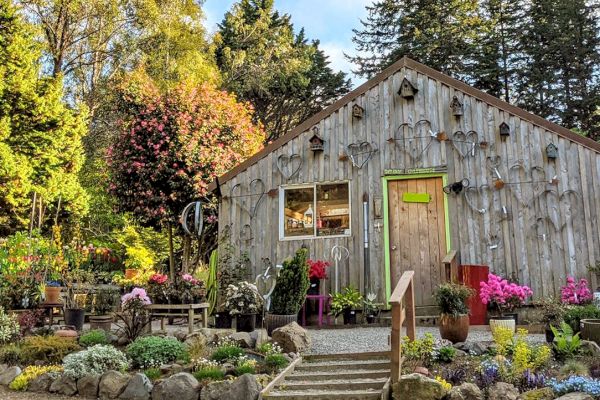 A rustic wooden building surrounded by vibrant plants and trees under a clear blue sky, creating a peaceful garden setting.