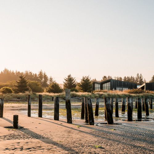 A serene beach scene with wooden posts leading to the water, trees in the background, and a bright, setting sun.