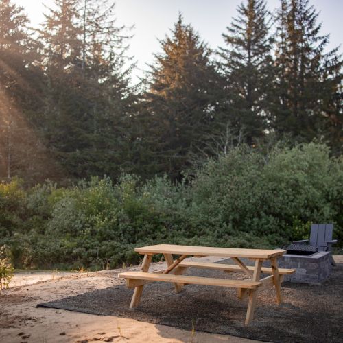 A picnic table and chairs sit on a dirt area with a fire pit, surrounded by trees and sunlight streaming through the branches.