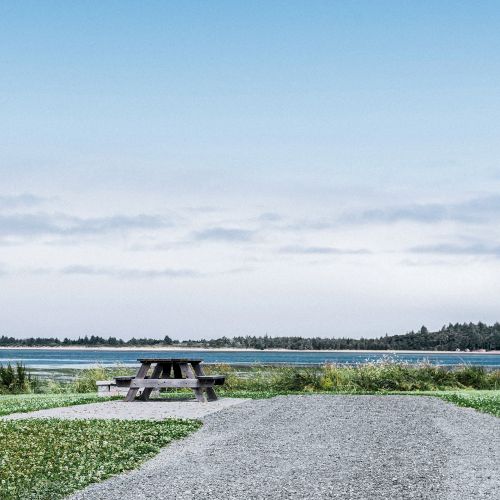 A gravel path leads to a wooden picnic table by a body of water, with grassy areas and a clear blue sky in the background.