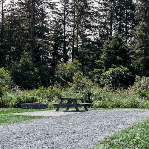 A picnic table and fire pit on a gravel path, surrounded by trees and greenery under a cloudy sky.