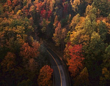 A winding road cuts through a dense forest with vibrant autumn foliage in shades of red, orange, and yellow, set against green trees.