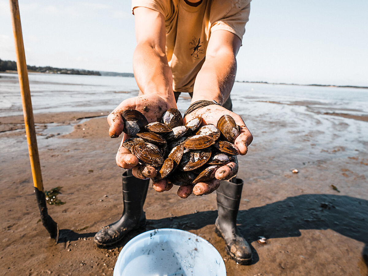 A person holding clams on a beach, smiling, while standing by a bucket and a stick.