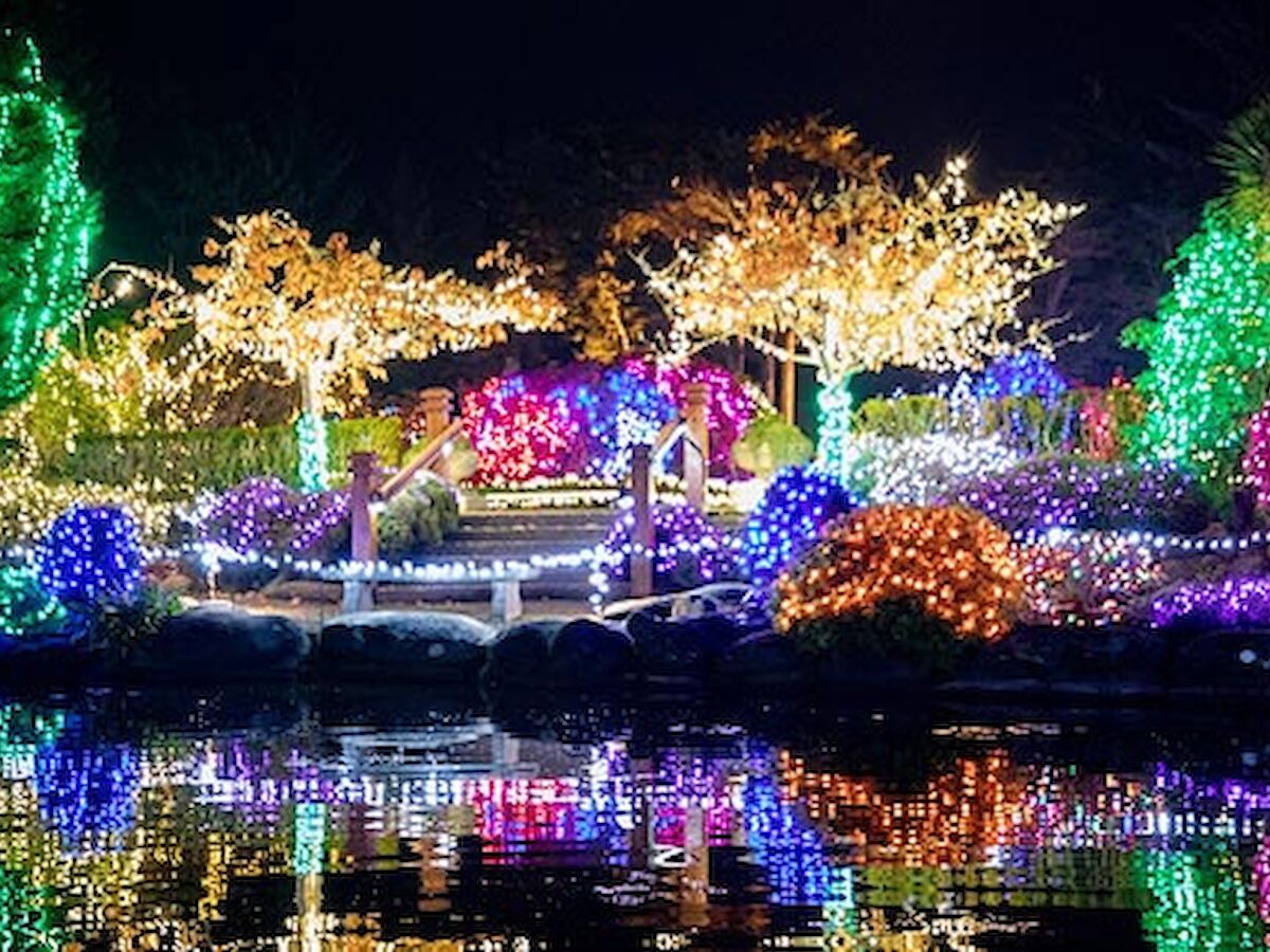 A vibrant nighttime garden display with colorful lights reflected in a pond, showcasing various shapes and patterns beautifully.